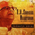 T.V. Sankaranarayanan - The Carnatic Maestro (2017) (Tamil)