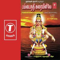 Pambainadhi Karaiyinile (2023) (Tamil)