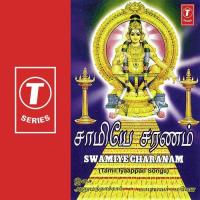 Swamiye Charanam (2023) (Tamil)