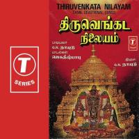 Thiruvenkata Nilayam (2023) (Tamil)