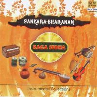 Raga Sudha Sankarabharanam - Instrumental Collection (2007)