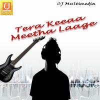 Tera Keeaa Meetha Laage (2008)