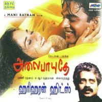 Alai Payuthey Hari Haran Hits (2000) (Tamil)