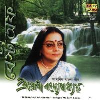 Best Of Sreeradha Banerjee (2005) (Tamil)