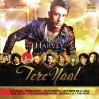 Dj Harvey - Tere Naal (2011) (Tamil)