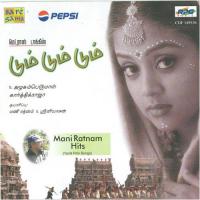 Dumm Dumm Dumm Manirathnam Hits (2001) (Tamil)