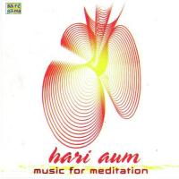 Om Hari Om - Music For Meditation Englis songs mp3