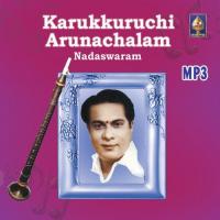 Karukurichi P Arunachalam - Nadaswaram (2011) (Tamil)