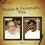 Vaalee And Vairamuthu Hits: Vol.1 (2013) (Tamil)