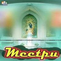 Meetpu (2012) (Tamil)