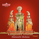 Thirumalai Darisanam Kanagadhara Stothram (2009) (Tamil)