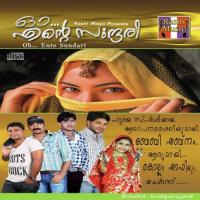 Oh Ente Sundari (2009) (Malayalam)