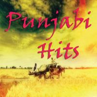 Punjabi Hits (2009)
