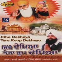 Jithe Dekhya Tera Roop DekhyaSinger:Bhai Ranjit Singh Ji -Chandan- (2004)