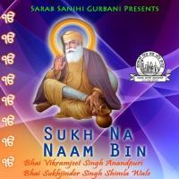 Sukh Na Naam Bin (2009)