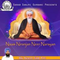 Naam Niranjan Neer Narayan (2011)