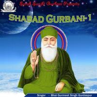 Shabad Gurbani Vol. 1 (2005)