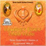 Hamrey Ekey Hari Hari (2008)
