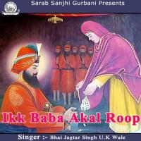Ikk Baba Akal Roop (2014)