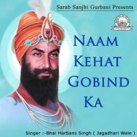Naam Kehat Gobind Ka (2014)