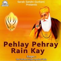Pehlay Pehray Rain Kay (2014)