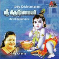 Sree Krishnamayam (2012) (Tamil)
