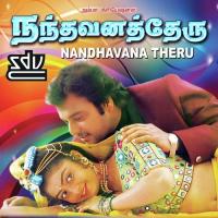 Nandhavana Theru (1995) (Tamil)