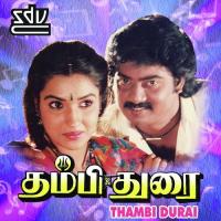 Thambi Durai (1997) (Tamil)