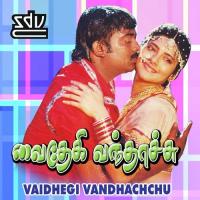 Vaidhegi Vandhachchu (1991) (Tamil)