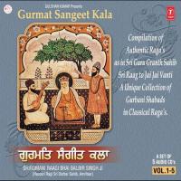 Gurmat Sangeet KalaSinger:Shiromani Raagi Bhai Balbir Singh Ji,Hazoori Raagi Sri Darbar Sahib (2008)