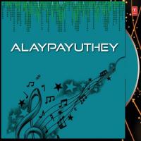 Alaypayuthey (2012) (Tamil)