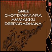 Sree Chottanikkara Ammakku Deeparadhana (2012)