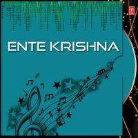 Ente Krishna (2012)