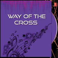 Way Of The Cross (2012)