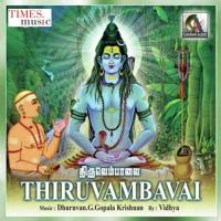 Thiruvambavai (2010) (Tamil)