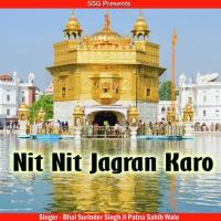 Nit Nit Jagran Karo (2015)