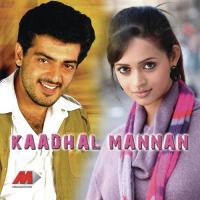 Kaadal Mannan (2013) (Tamil)