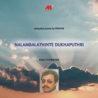 Nalambalathinte Dukhaputhri (2013)