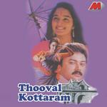 Thooval Kottaram (2013) (Malayalam)