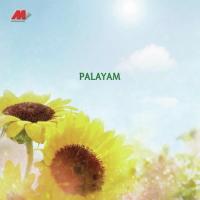 Palayam (2013)