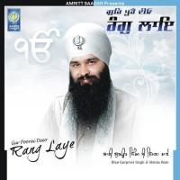 Gur Poorai Deeo Rang LayeSinger:Bhai Gurpreet Singh Ji (2011)