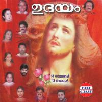 Udayam (1999) (Malayalam)
