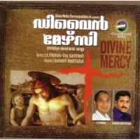 Divine Mercy (2010)