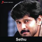 Sethu (2011) (Tamil)