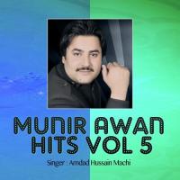 Munir Awan Hits Vol. 5 (1996)