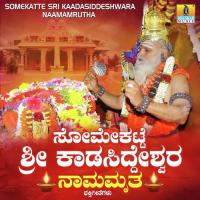 Somekatte Shri Kaadasiddeshwara Naamamrutha (2018)