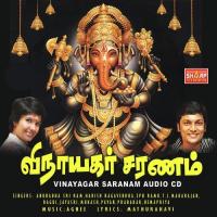 Vinayagar Saranam (2012) (Tamil)