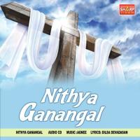 Nithya Ganangal (2012) (Tamil)