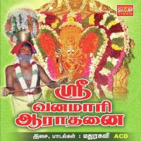 Sri Vanamari Aarathanai (2012) (Tamil)