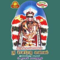 Thirukannapura Sri Sowriraja Vaibhavam (2001) (Tamil)